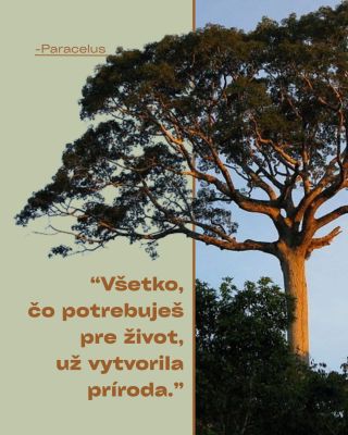 Príroda nám už dávno dala všetko, čo potrebujeme pre zdravie aj energiu. Stačí sa k nej len vrátiť a veriť jej sile. 🌱...