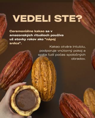 Vedeli ste, že…? Ceremoniálne kakao nie je len chutný nápoj. V amazónskych komunitách je považované za posvätný...