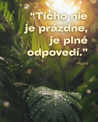 Keď stíchne hluk dňa, zrazu oveľa lepšie počuť vlastné myšlienky, telo… aj to, čo naozaj potrebuješ. Šálka čaju, hlboký...