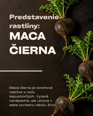 Maca čierna je malý koreň z peruánskych Ánd, ale v sebe nesie poriadnu dávku sily vitamíny B, C, E, minerály (železo,...